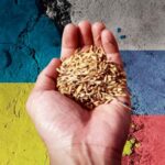 Ucrania tendrá problemas agrícolas por la guerra