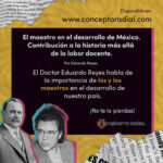 Historia y cultura de México: Profesores en México