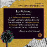 Historia y cultura de México: La Palma